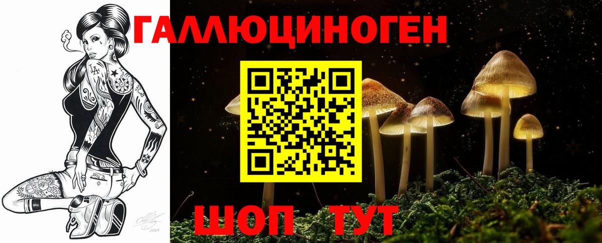 Благовещенск  Галлюциногенные грибы GOLDEN TEACHER  Вход с VPN 