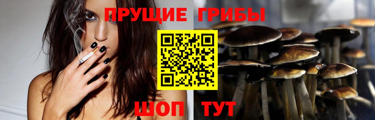 Псилоцибиновые грибы Magic Shrooms Благовещенск