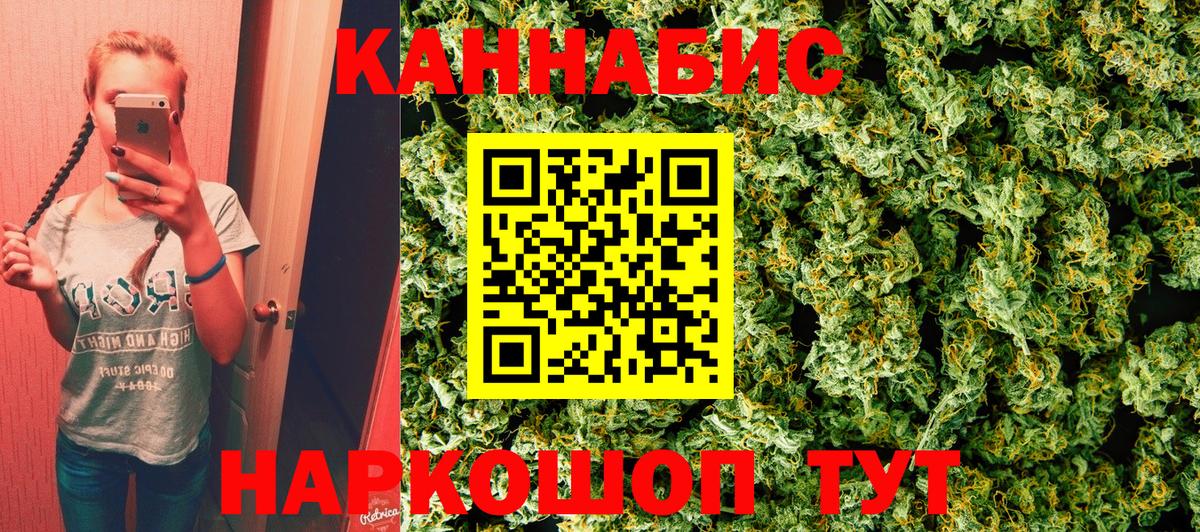 Канабис сатива Благовещенск